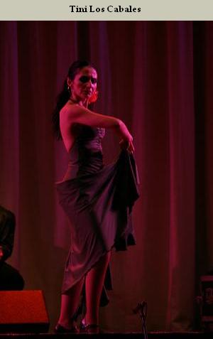 photos du spectacle "Los Metales"