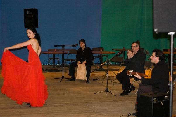 photos du spectacle "Los Metales"